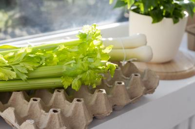 Эта зелень растёт у вас на подоконнике даже в лютые морозы