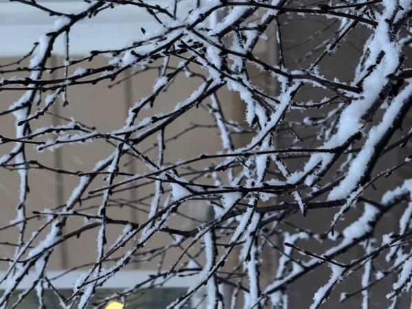 Прогноз погоды: насколько теплыми будут декабрь и январь