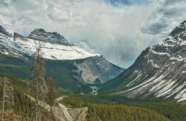 Кто ходит на большой Уральской тропе?