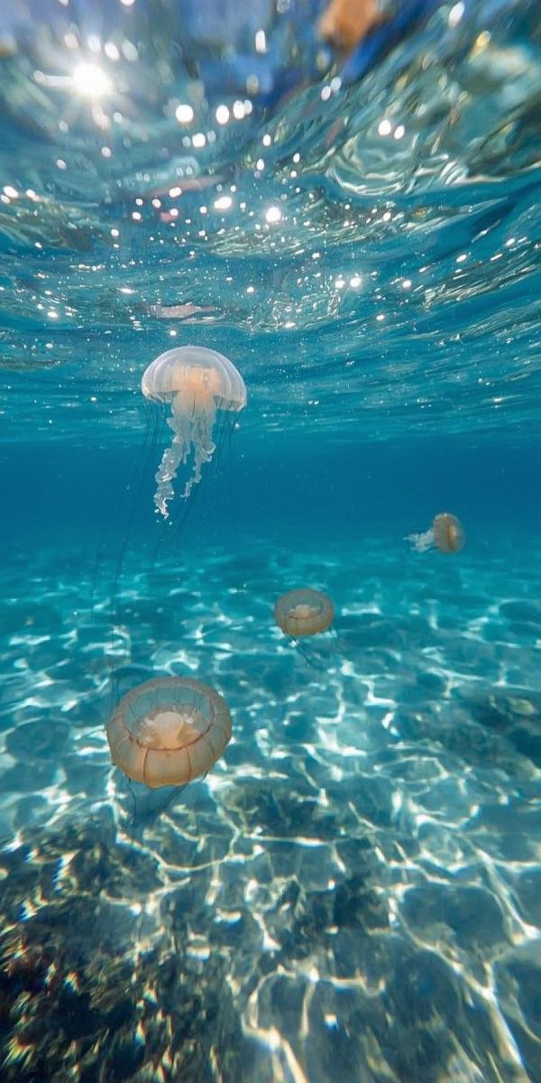 Готовимся к отпуску без ущерба для ментального и физического здоровья