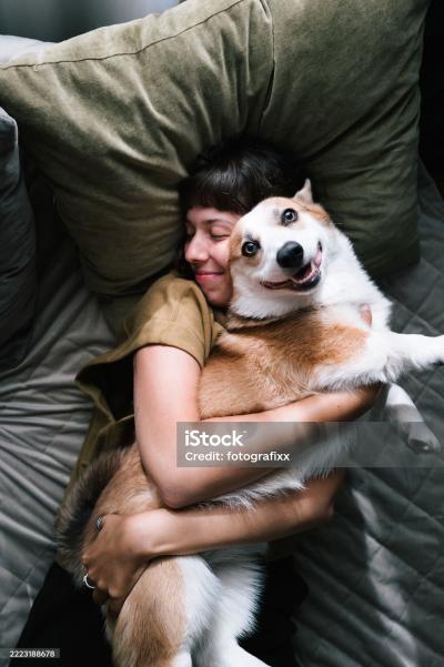 Крысарик, схапендус и ховаварт: найдены самые странные названия пород собак